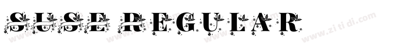 SUSE Regular字体转换